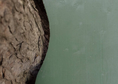 Festival de la cite - Lausanne 14